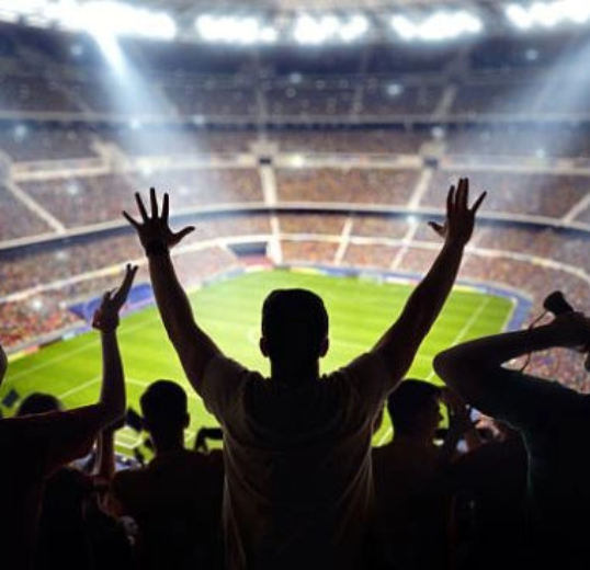 Sports Stadiums & Arenas